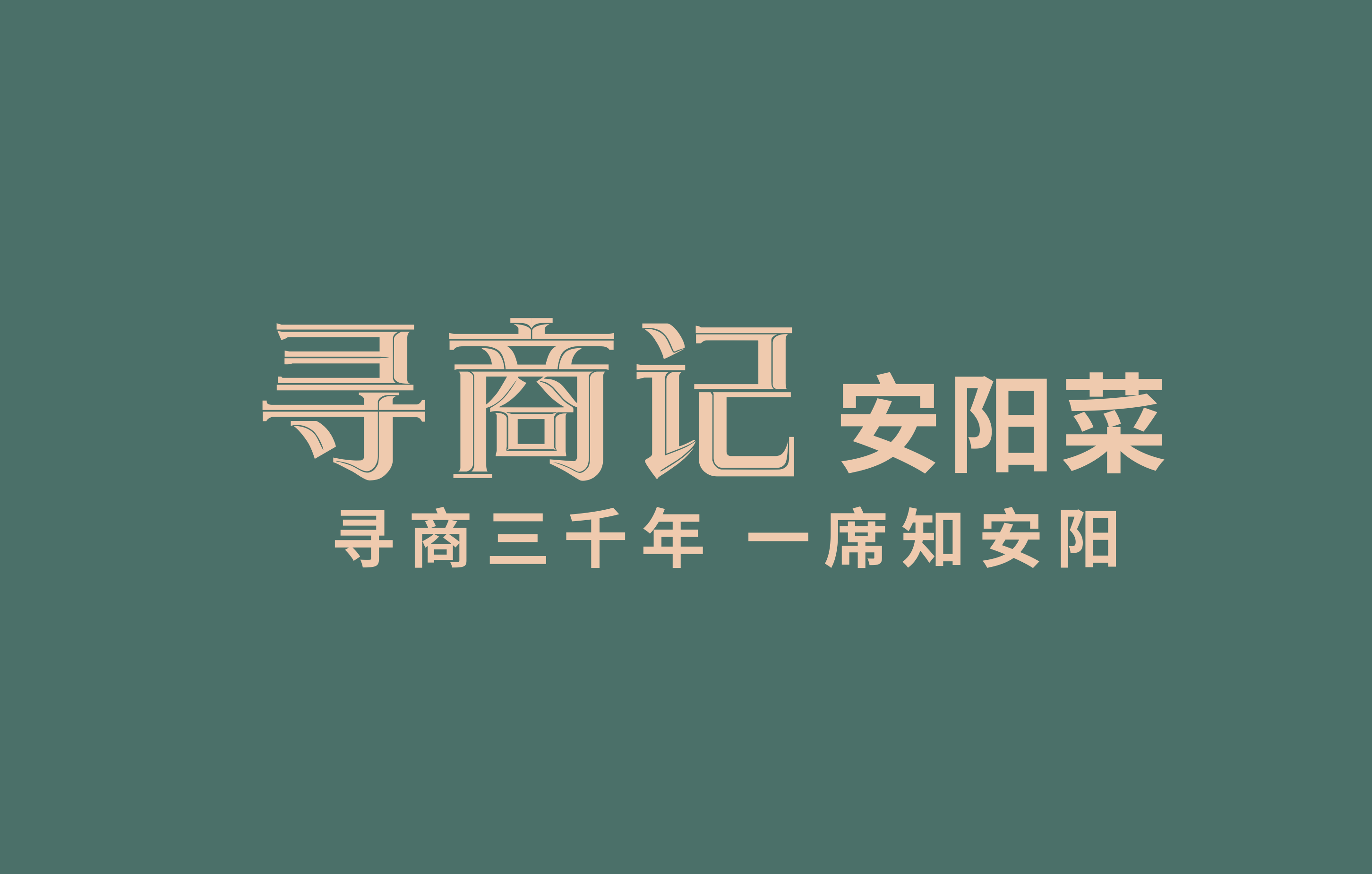寻商记案例封面